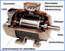 Motorschnitt